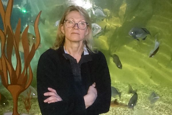 Aquarium could sink without public support