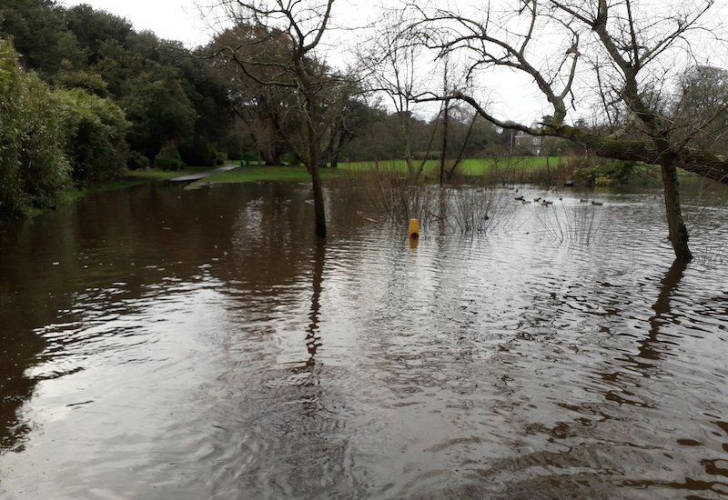 Heavy rainfall causes flooding at Saumarez Park