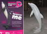 Artists and sponsors invited to join the Dolphin Discovery Trail