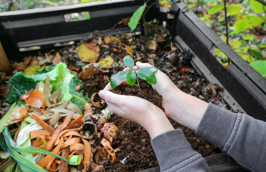 Guernsey Waste launches home composting campaign