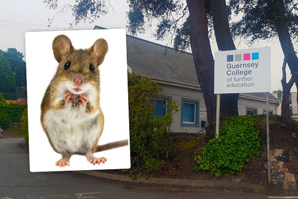 Mice expelled from College of FE