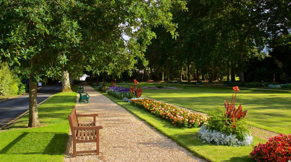 Police investigating after park trees damaged