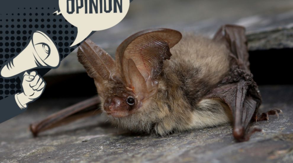 OPINION: Leaving the Bat Cave