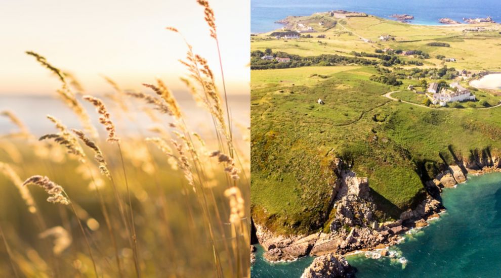 States of Alderney refute claims they were trying to “slip through” biodiversity strategy