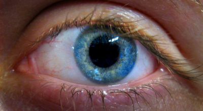 A new Google algorithm can predict heart disease just from scanning your eyes