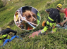 Missing dog rescued from cliff face