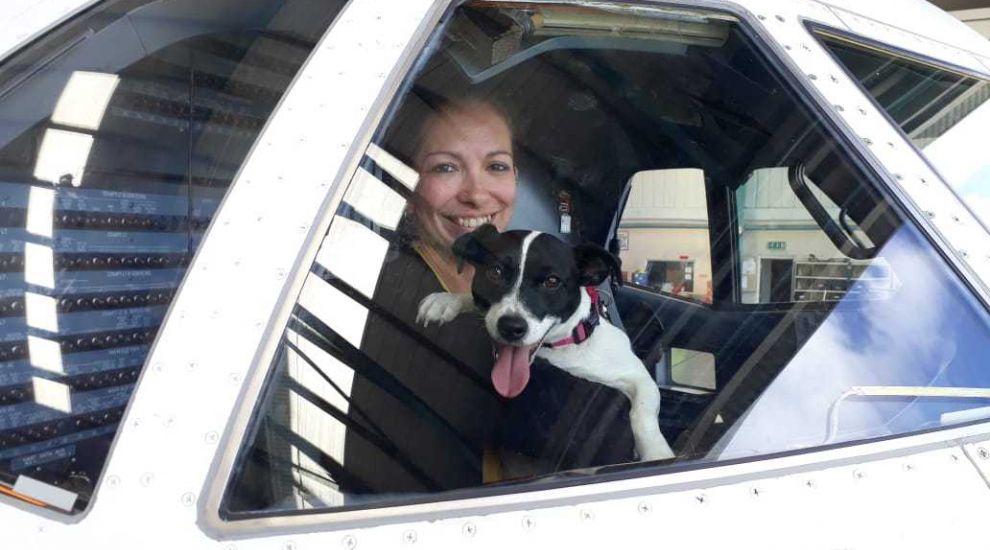 Pet friendly flying with Aurigny