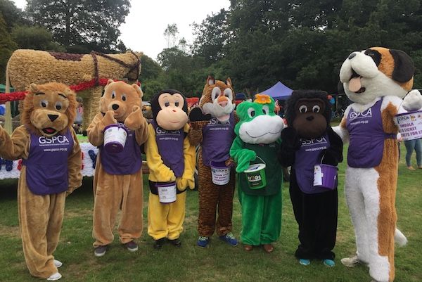 Northern Trust assist GSPCA at summer shows