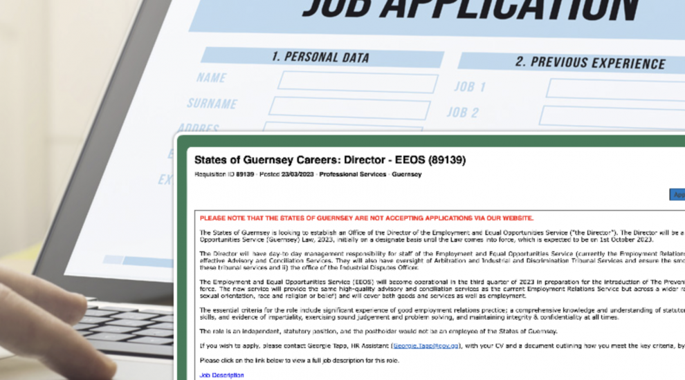 Director sought to oversee employment equality laws