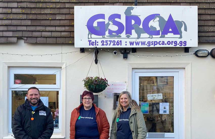 Huge thanks to staff from BNP Paribas helping out at the GSPCA