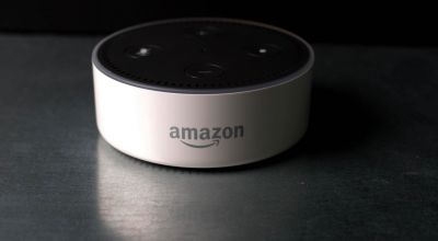 Amazon Echo Dot ad cleared after cat food order