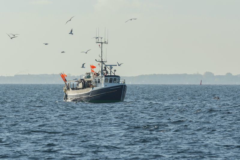 Fishing licence decisions to be finalised next month