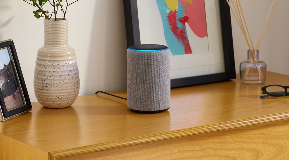 Government information made accessible via smart speakers