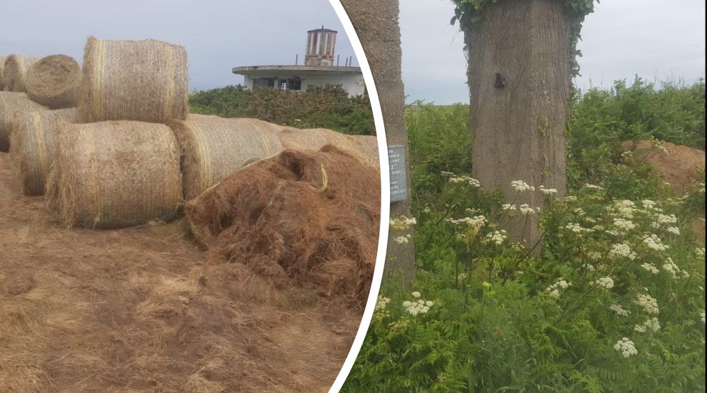 UK politician shares concerns about haybales on Lager Sylt
