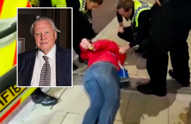 Guernsey artist's wife arrested after Attenborough incident
