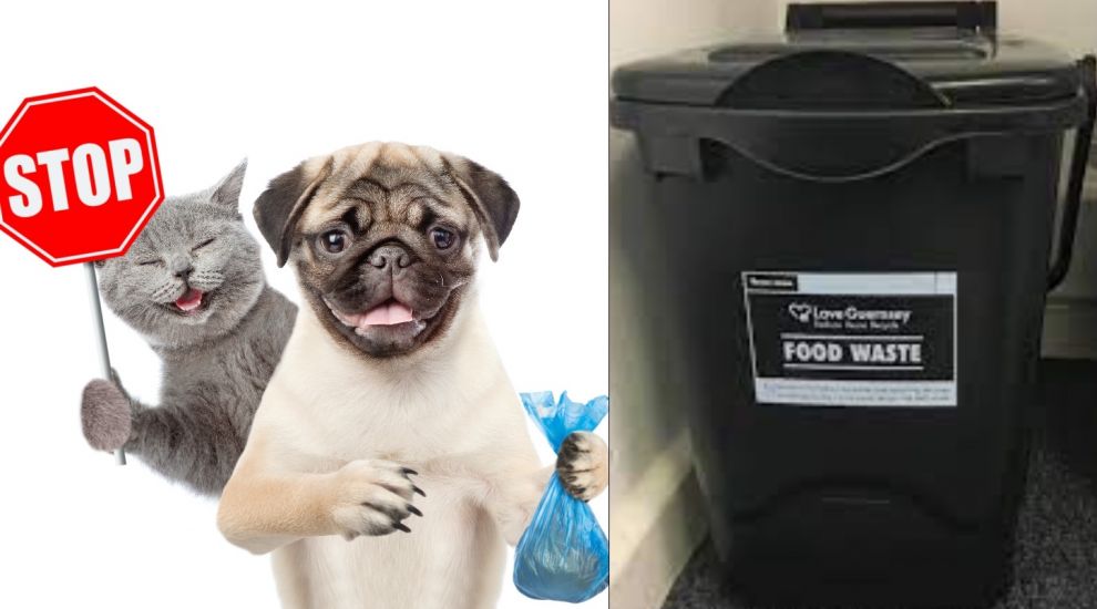 Dog poo 'advice' a load of rubbish