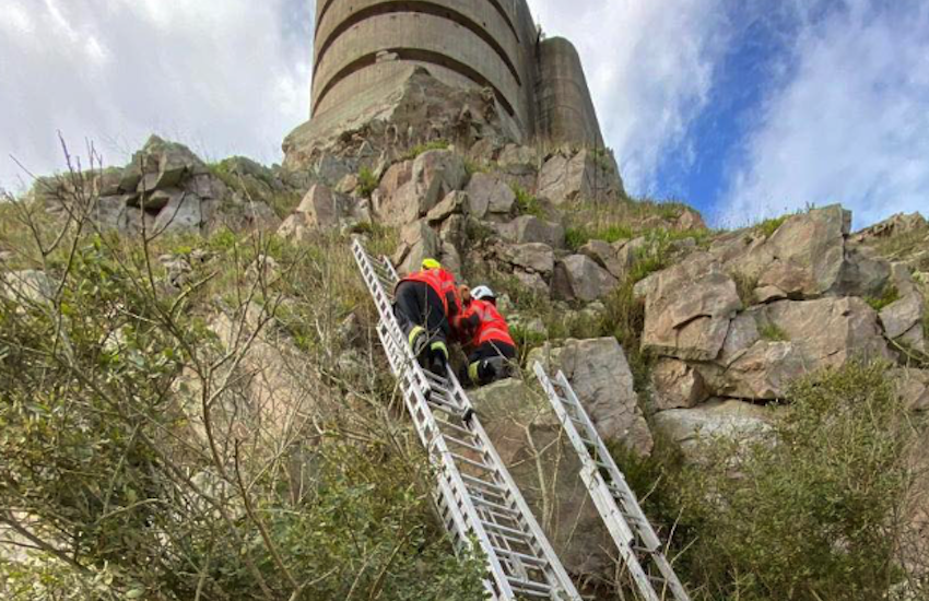 Alderney Fire Brigade bring stuck spaniel back to safety