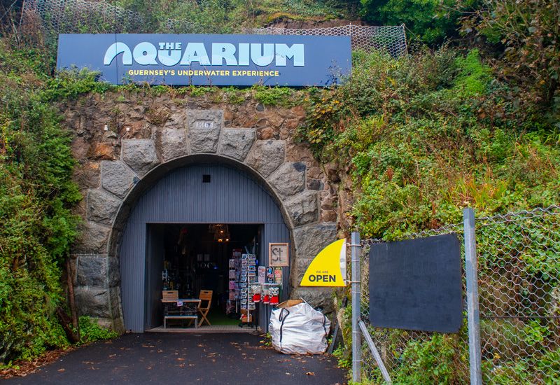 Aquarium's last day on Thursday