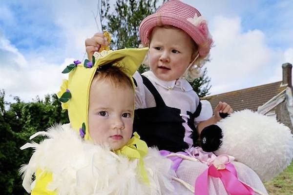 Annual shows start today with South show