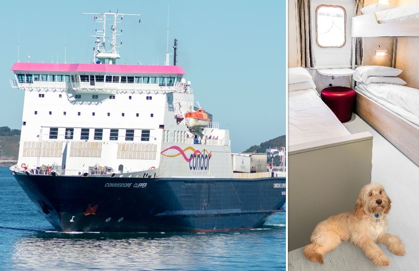 Furry friends soon to be welcome in Clipper cabins