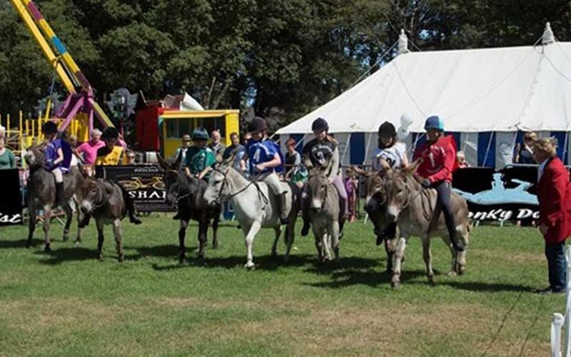 Donkey Derby returns to the park