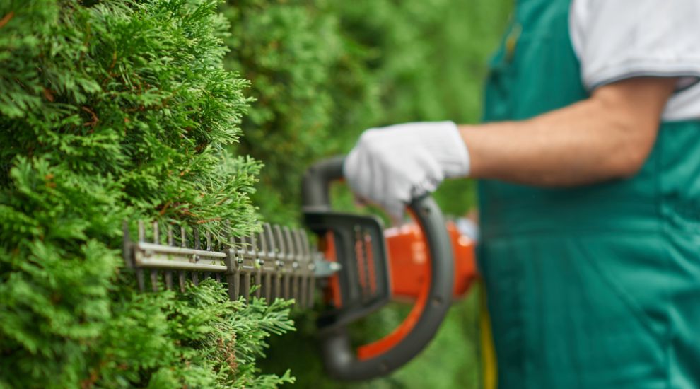 Verges cutting season now underway