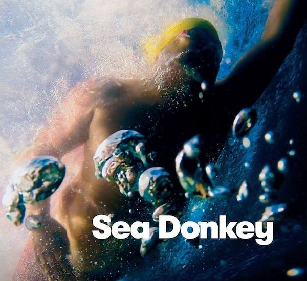 Sea Donkey sees huge success