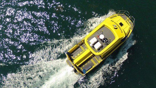 Buzz for Bumblebee's ferry service died out