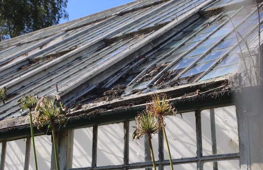 Approval given for restoration of Candie glasshouses