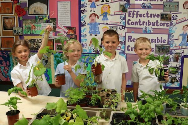 Waitrose encourages 'green fingers' among school children
