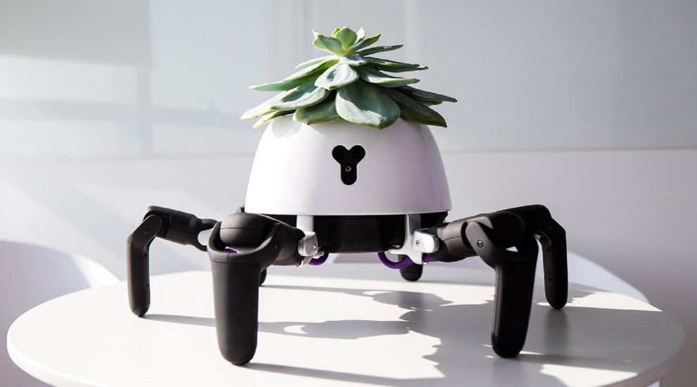 This little robot moves to keep your plants in optimal sunlight