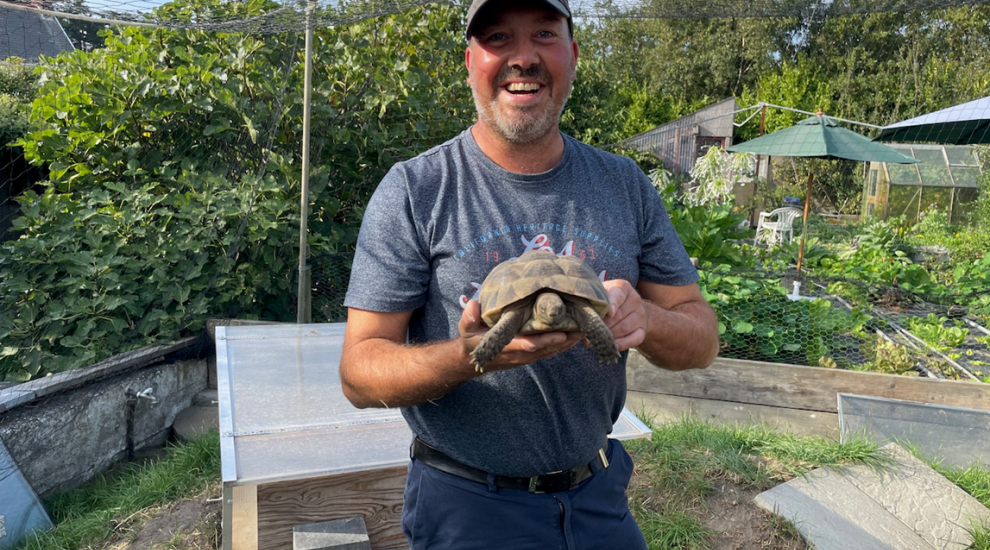 One man...and 57 tortoises!