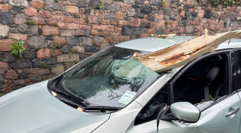 Motorists and pedestrians left “shaken up” after tree falls on car