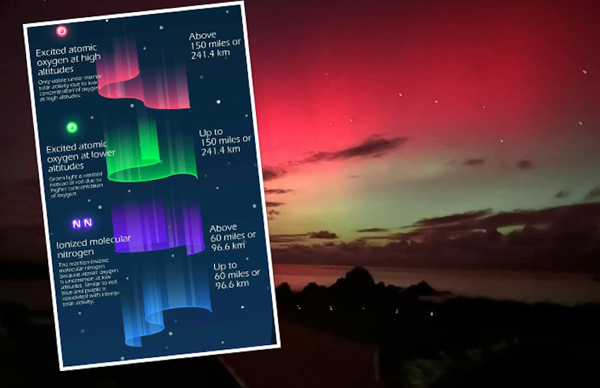 GALLERY: The Northern Lights