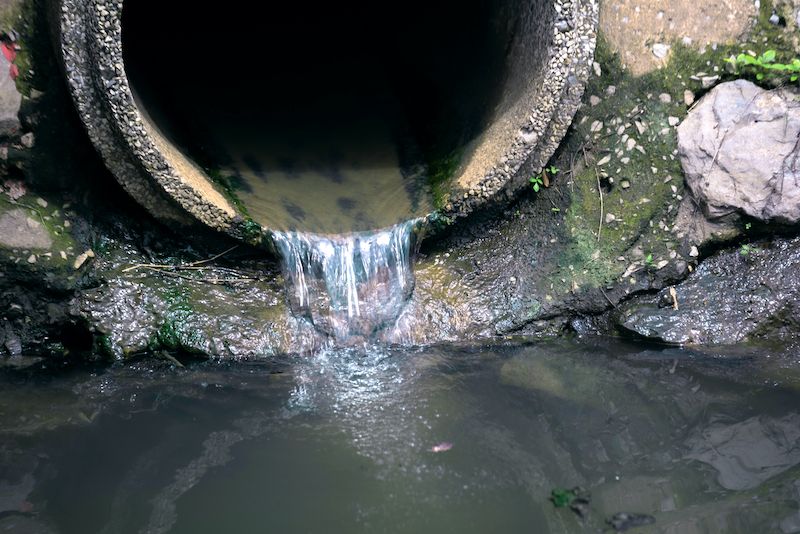 Guernsey Water urging us to stop flushing ‘unflushables’