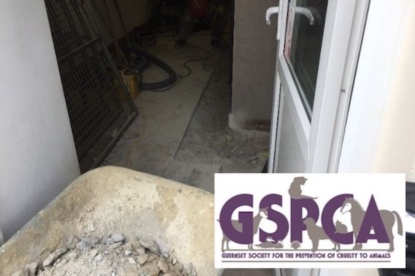 Structural damage at GSPCA kennels will cost £20k extra to fix