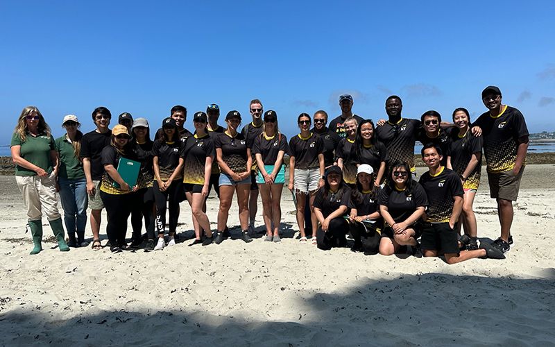 EY volunteers support local charities in protecting local biodiversity through conservation days