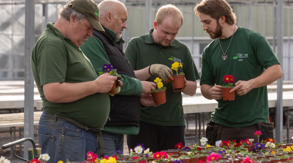 Experienced plantsman needed at Grow
