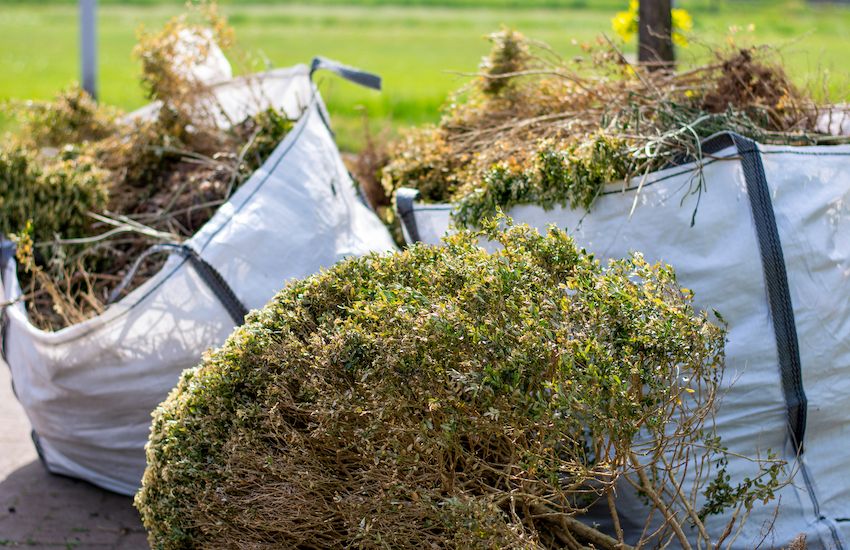 Green waste recycling to get a temporary home