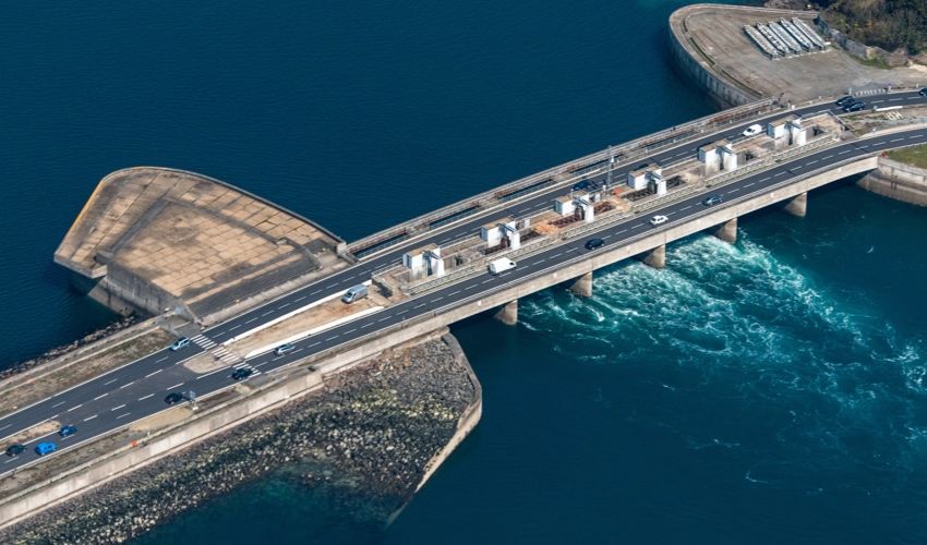 WATCH: Rescue effort ongoing as whale swims through Rance Barrage