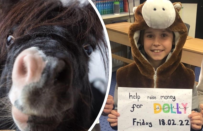 Schoolchildren fundraise for Dolly