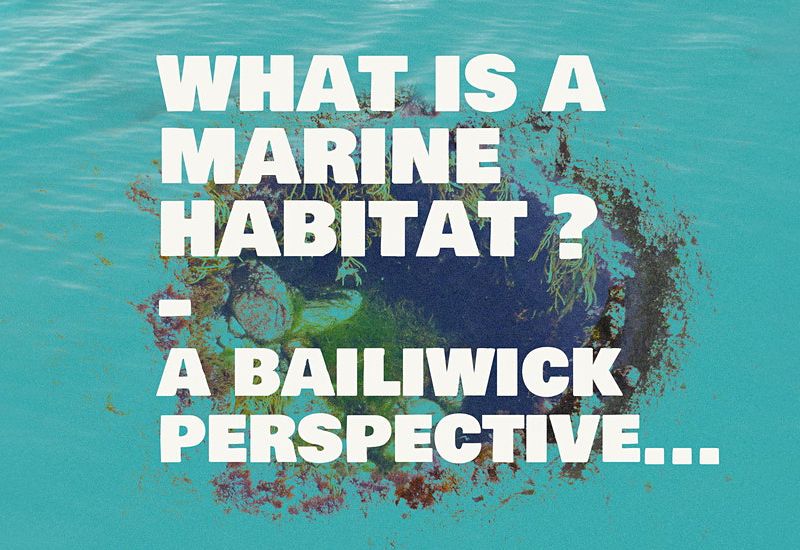 What is a marine habitat? A bailiwick perspective...