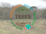 Thousands of trees and hedges planted by charity