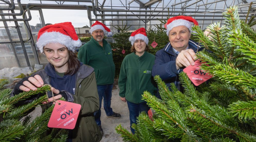 Buy a Christmas tree and help a charity