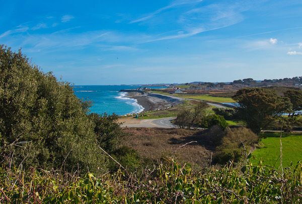 Nature Guernsey to hold inaugural event