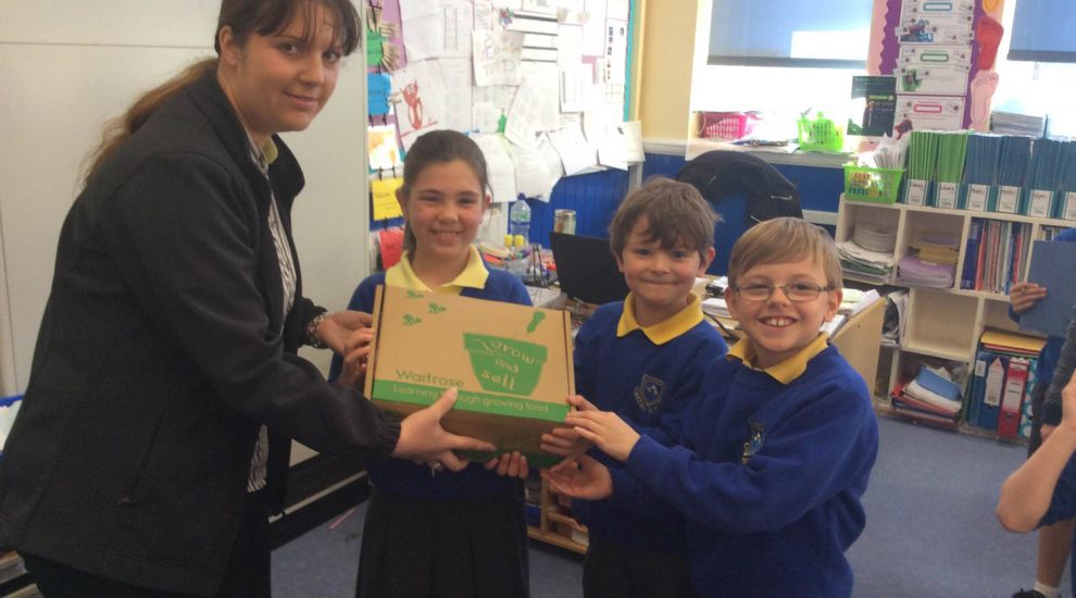 From plant to plate – Waitrose launches school growing initiative