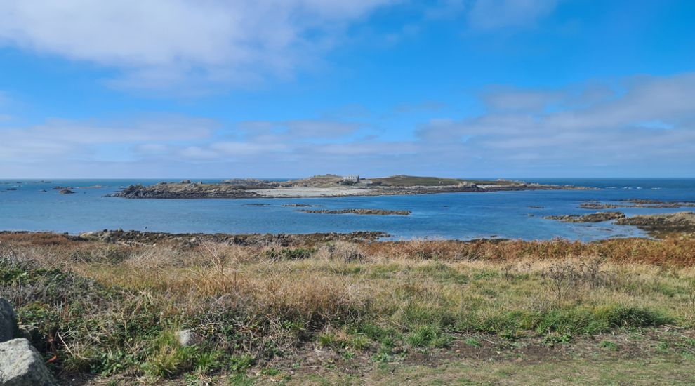 Measures introduced to protect Lihou wildlife