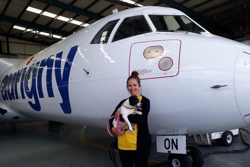 Pets could be invited on to more Aurigny flights