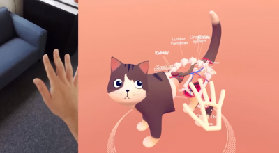 You can now dissect an adorable tabby cat in VR