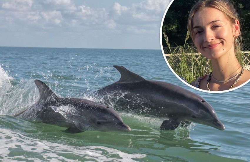 Zoologist looking for volunteers for summer dolphin project